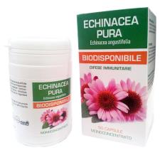 ECHINACEA PURA BIODISPONIBILE 50 CAPSULE DA 500 MG