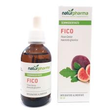 FICO GEMMODERIVATO PURO BIODISPONIBILE 50 ML