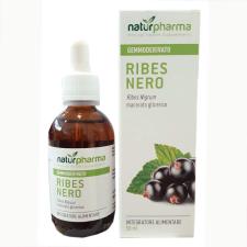 RIBES NERO GEMMODERIVATO PURO BIODISPONIBILE 50 ML