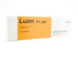 LUAN*gel 100 g 1% uso chirurgico